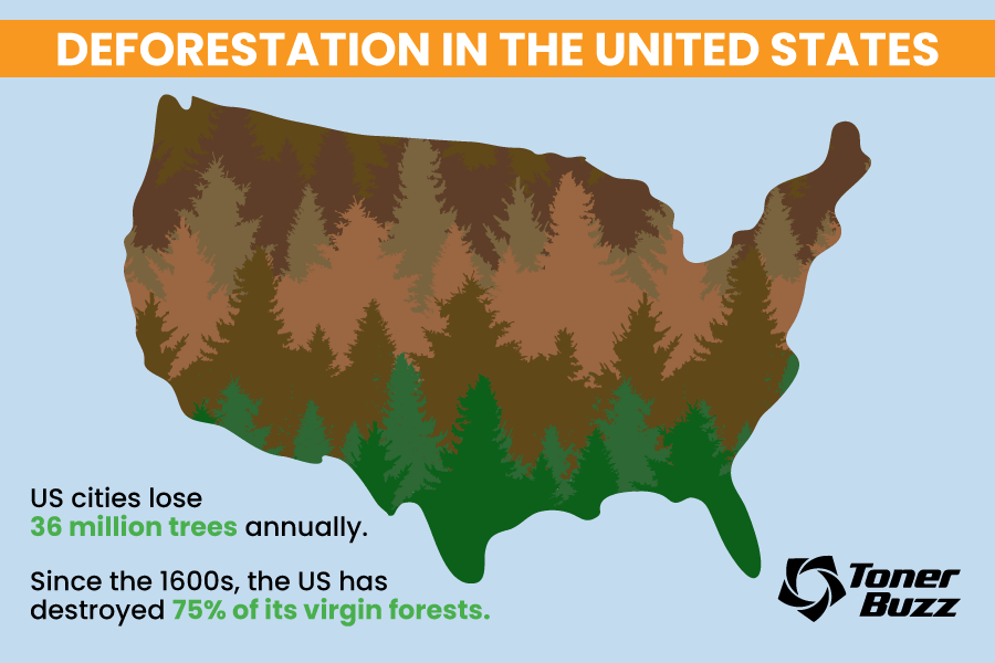 United States Deforestation Map